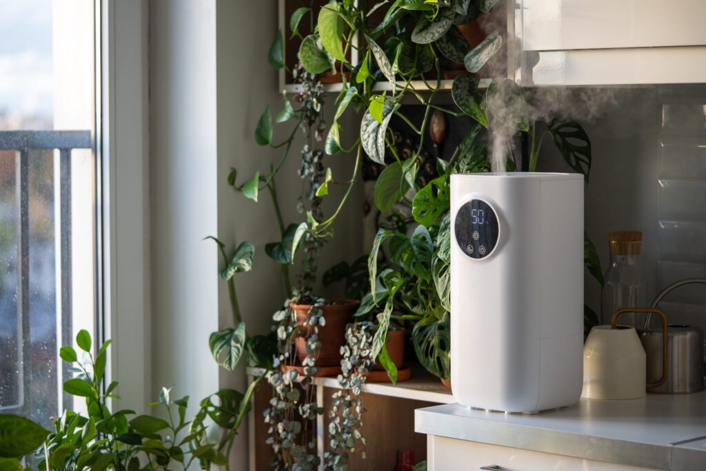 The Ultimate Guide to Improving Indoor Air Quality